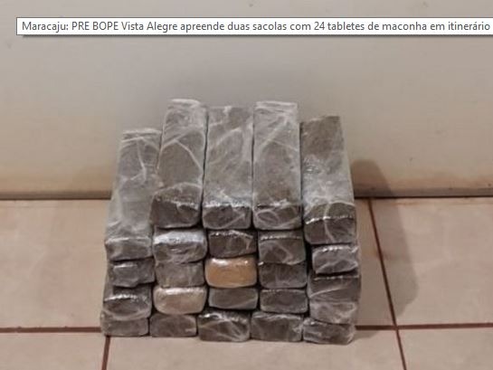 PRE apreende duas sacolas com 24 tabletes de maconha em ônibus PRE/Divulgação