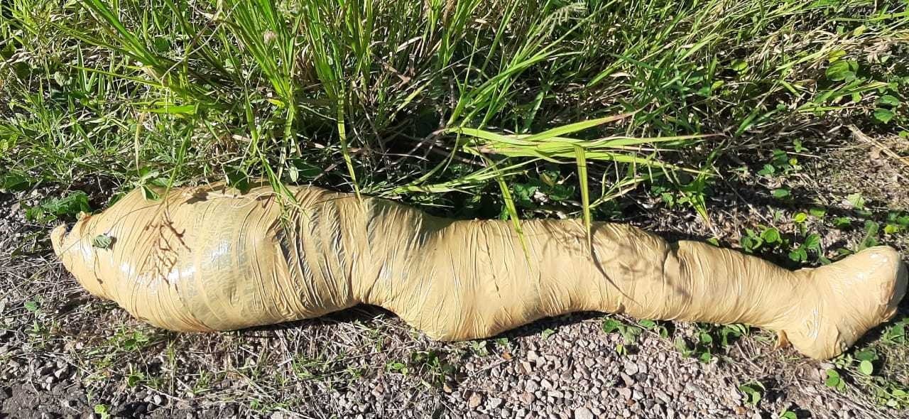 A polícia investiga o achado e os peritos foram acionados. Divulgação