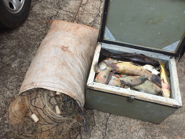 Pescadores são presos com 800 metros de redes e 17kg de pescado Pescadores são presos com 800 metros de redes e 17kg de pescado