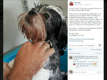 Cães viram modelos nas redes sociais e até 'falam' sobre o banho e tosa Pet patas Jardim (Foto: Reprodução/ TV Morena)