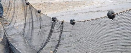 Deputado Amarildo Cruz cobra ação para coibir pesca predatória em Porto Murtinho