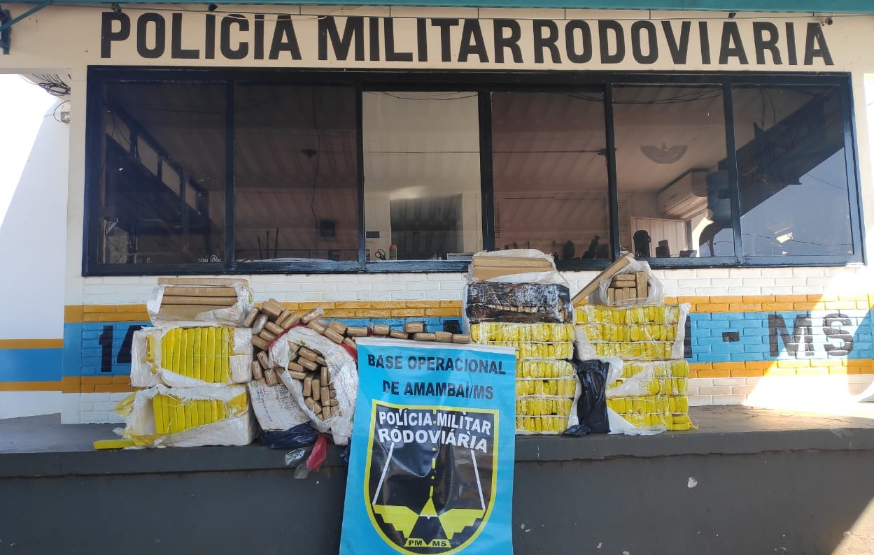 Divulgação