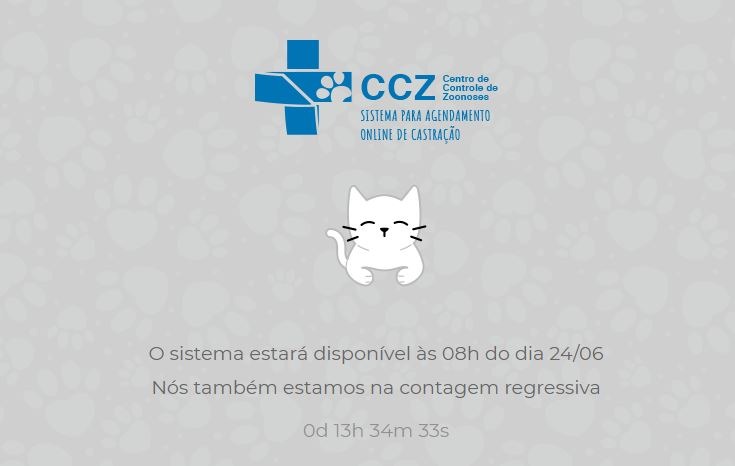 Site para agendamento de castrações de felinos libera acesso nesta segunda