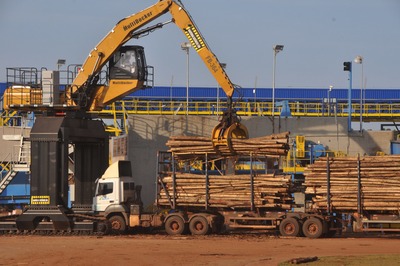 Indústrias, como a Fibria (foto), ampliaram projetos - Foto: Valdenir Rezende / Correio do Estado