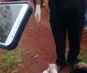 Homem é encontrado carbonizado com pernas e braços amarrados Peritos no local onde corpo de Arsenio foi encontrado. - Ponta Porã Informa