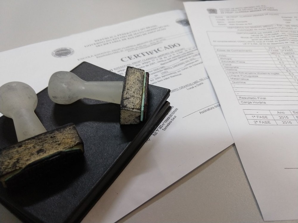 Polícia apreendeu falsos certificados e carimbos usados para o crime (Foto: Ariovaldo Dantas)