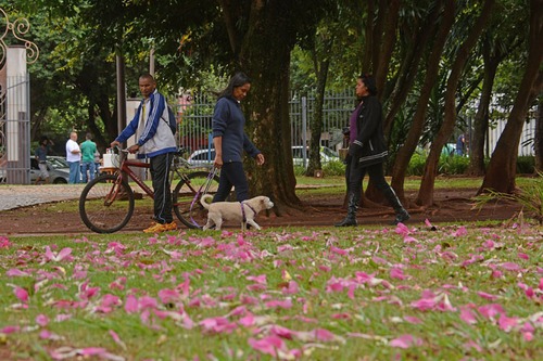 Chuva continua e nova frente fria chega ao Estado no fim de semana Mudança no tempo fez população usar roupas de frio nesse início de semana - Foto: Álvaro Rezende/Correio do Estado