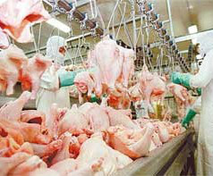 China ajuda Brasil a elevar exportação de carne de frango em 8% em 2016, diz ABPA