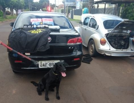 Polícia encontra cocaína escondida em motor de fusca Cão farejador encontrou a droga. PM/Divulgação