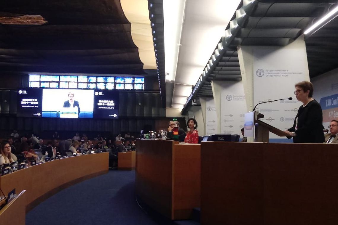 Ministra quer menos protecionismo para fortalecer agricultura mundial Divulgação/MAPA