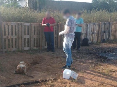 Policiais civis acompanharam exumação dos corpos de três cachorros (Foto: Divulgação)
