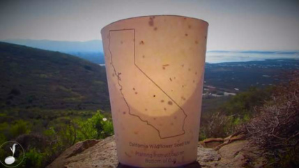 Conheça o copo de café que se transforma em árvore Reprodução/ Youtube Ecodesign: a startup Reduce.Reuse.Grow. criou um copo descartável de café que traz sementes embutidas