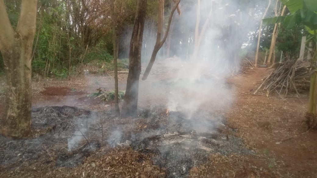 Idoso que provocou incêndio em área invadida é autuado pela Decat Divulgação