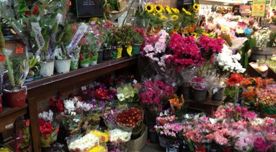 Preço das flores varia até 617% - Foto: Divulgação
