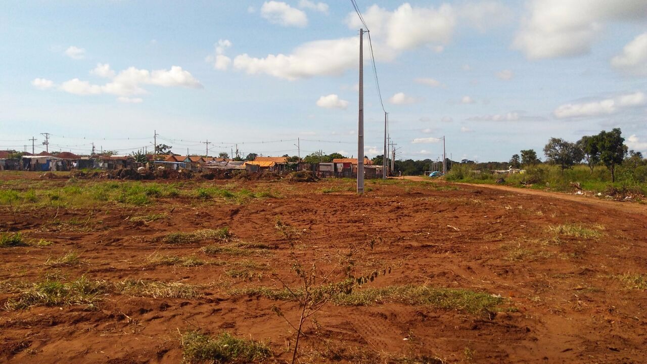 A área onde era ocupada pela favela foi limpa para o plantio de eucaliptos. 