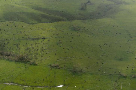 Aquecimento global pode ser prenúncio de ciclones mais intensos Fornecido por AFP Vista aérea de Vanuatu, onde árvores foram arrancadas por ventos de até 320km/h na passagem do ciclone Pam