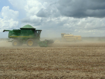 Várias questões do agronegócio serão discutidas em evento em Dourados no mês de maio
(Foto: Anderson Viegas/G1 MS)