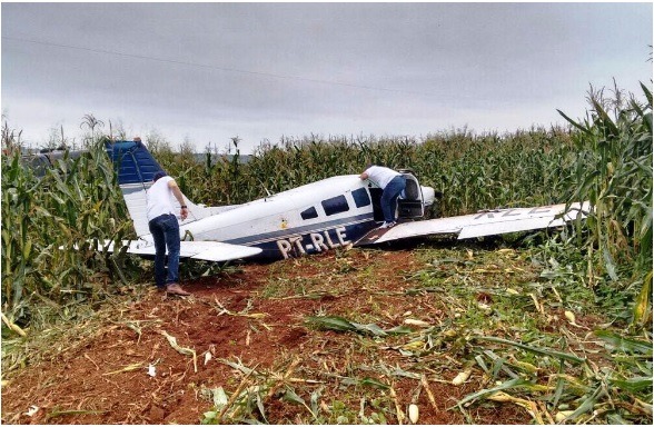 Avião de pequeno porte faz pouso forçado em milharal e piloto desaparece em MS Na aeronave foi encontrado apenas um galão azul - Foto: Divulgação/PC