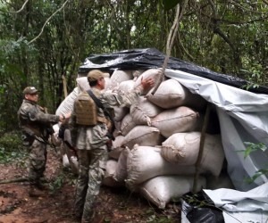 Brasileiro é preso e acampamento com 35 toneladas de maconha é derrubado Polícia encontrou diversos acampamentos na propriedade - Porã News