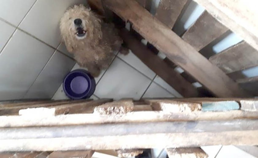 A situação foi considerada degradante, pelos policiais que atenderam a ocorrência - Divulgação/PMA