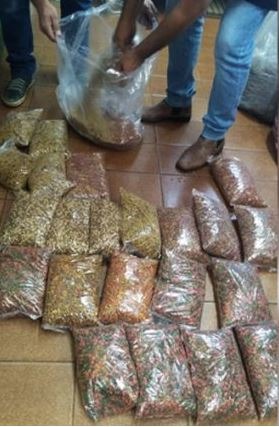 Procon apreende 85 quilos de ração vencida no comércio de Campo Grande Procon apreende 85 quilos de ração vencida no comércio de Campo Grande