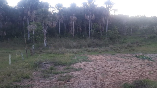 Dono de mineradora de areia é autuado em R$ 5 mil por degradação de área protegida Dono de mineradora de areia é autuado em R$ 5 mil por degradação de área protegida