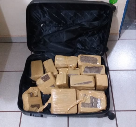 Cão farejador localiza maconha, cocaína e arma em ônibus interestadual