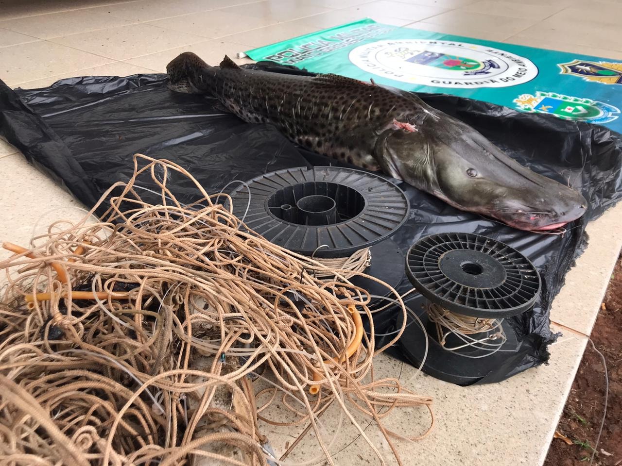 Dois homens são presos por pesca predatória no rio Iguatemi Dois homens são presos por pesca predatória no rio Iguatemi