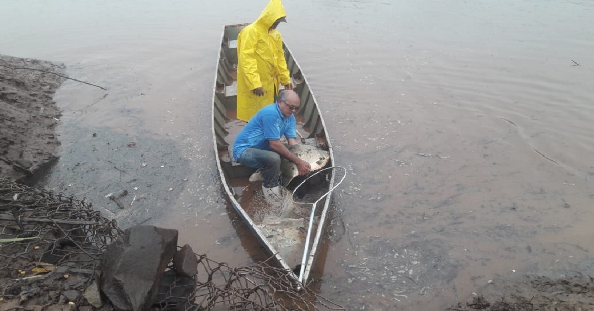 Com todos os peixes retirados, máquinas devem começar desassoreamento do lago maio Foto: Assessoria