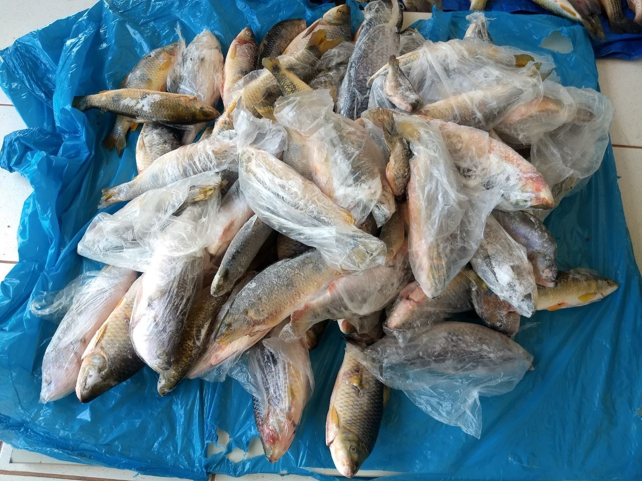 Foto: PMA/Divulgação