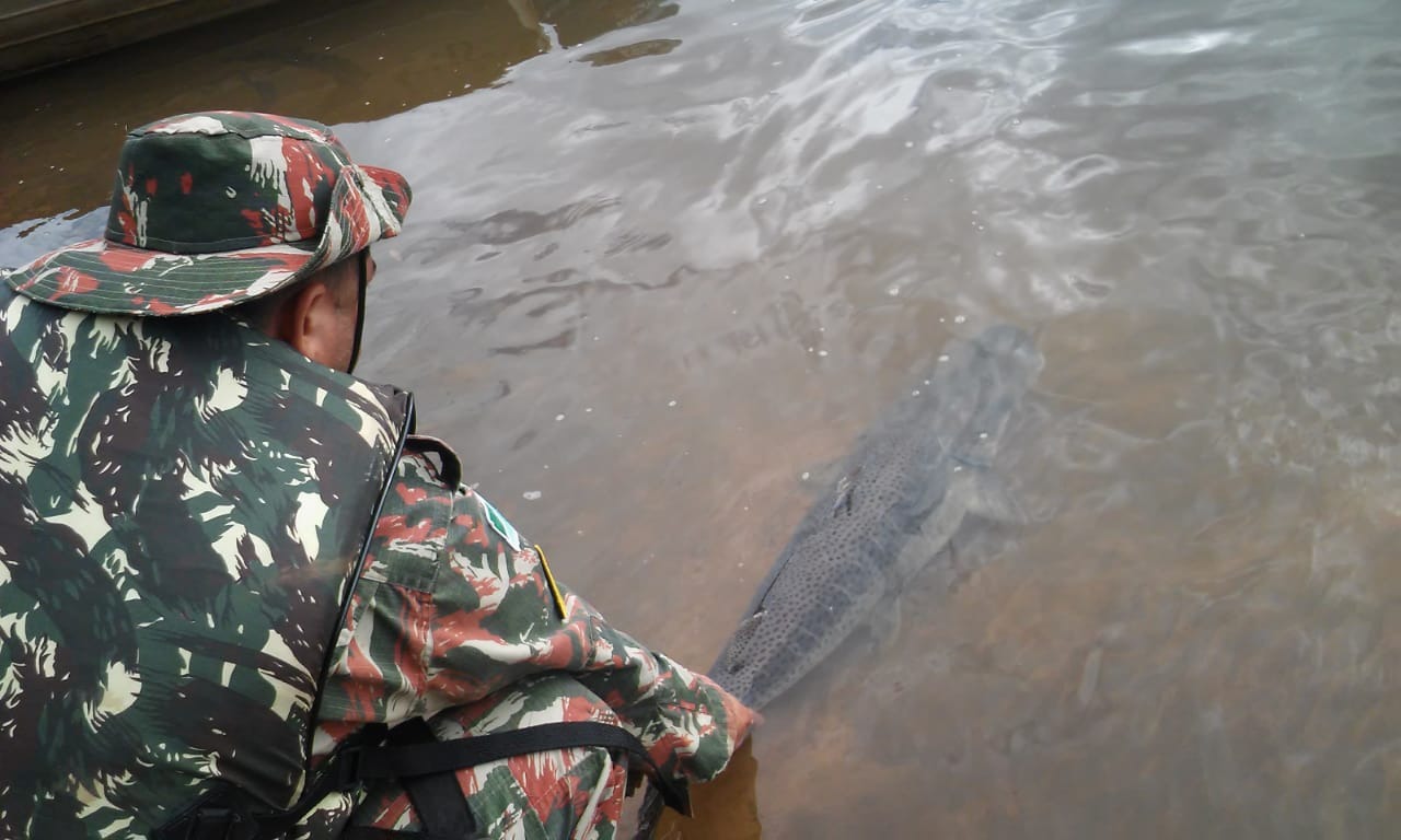 Operação Piracema: PMA apreende quase 900 kg de pescado e aplica R$ 105 mil em multas