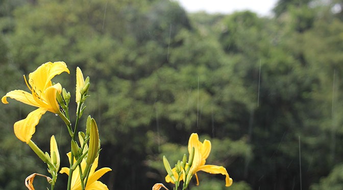 Com máxima de 32°C chuvas continuam nesta terça-feira em Mato Grosso do Sul Com máxima de 32°C chuvas continuam nesta terça-feira em Mato Grosso do Sul