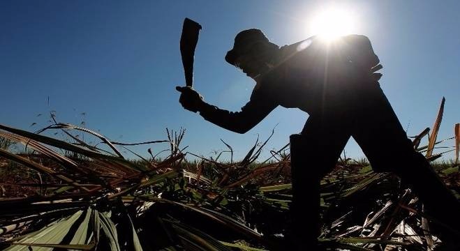 Gigantes do agronegócio aparecem na lista do trabalho escravo
Tiago Queiroz/Estadão Conteúdo