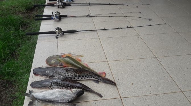 PMA prende seis pessoas em acampamento praticando pesca predatória