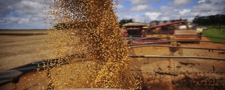 Expectativas da Abag indicam elevação de 0,5% no PIB do agro em 2018