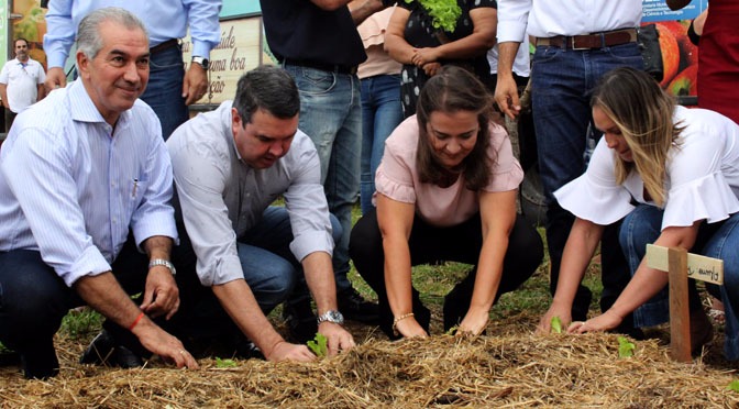 Projeto de hortas comunitárias melhora renda, alimentação e ocupação de espaços vazios Foto: Chico Ribeiro