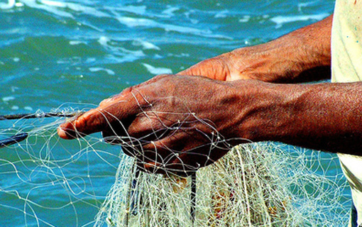 Decreto altera regras para seguro defeso e registro de pescador Decreto altera regras para seguro defeso e registro de pescador