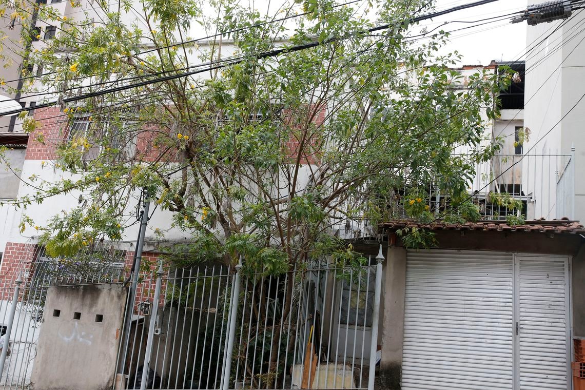 (Tomaz Silva/Agência Brasil)