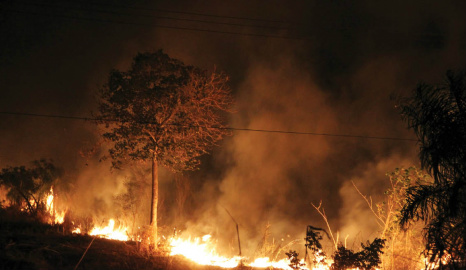 Diante da proximidade com as rodovias, áreas de pastagens são as mais atingidas - Foto: Silvio Andrade / Correio do Estado