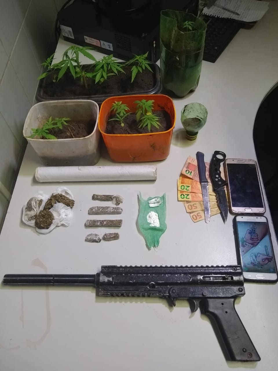 Grupo é flagrado pela PM com 14 pés de maconha e cocaína em bairro da Capital