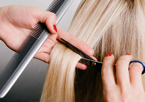 Mais de 59% dos micro e pequenos empresários não pretendem contratar novos funcionários Mais de 59% dos micro e pequenos empresários não pretendem contratar novos funcionários