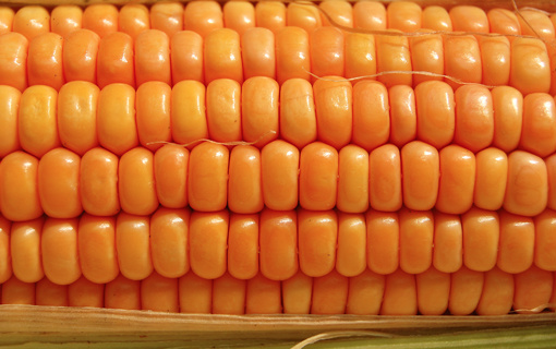 Resolução amplia limite de compra do Programa de Vendas em Balcão Resolução amplia limite de compra do Programa de Vendas em Balcão