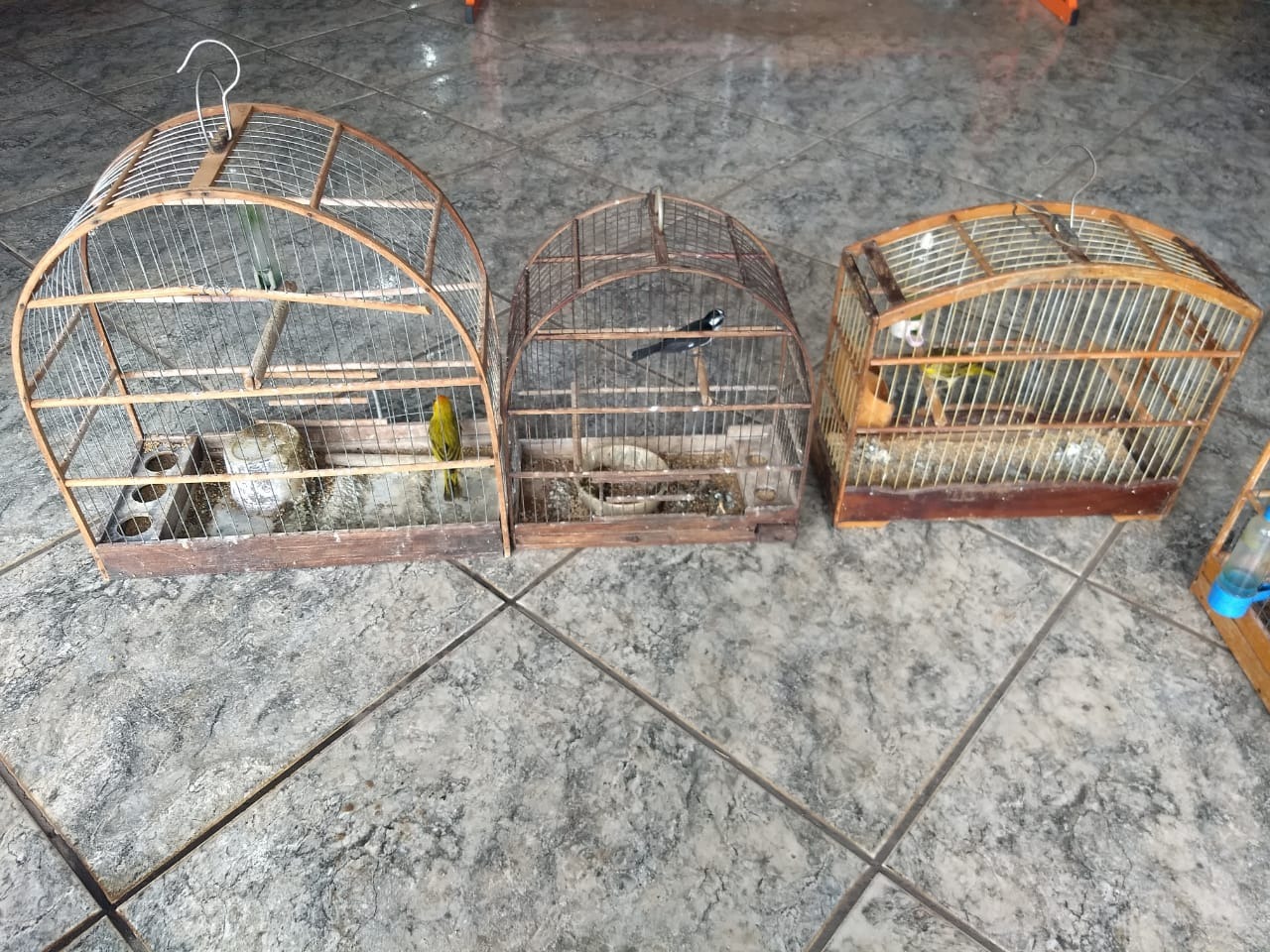 Divulgação / PMA MS