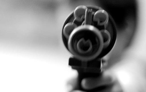 Plano Nacional de Segurança Pública propõe reduzir homicídios e combater o tráfico nas fronteiras EBC