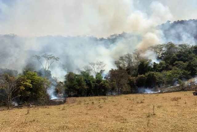 Em 13 dias incêndio já atingiu milhares de hectares em MS