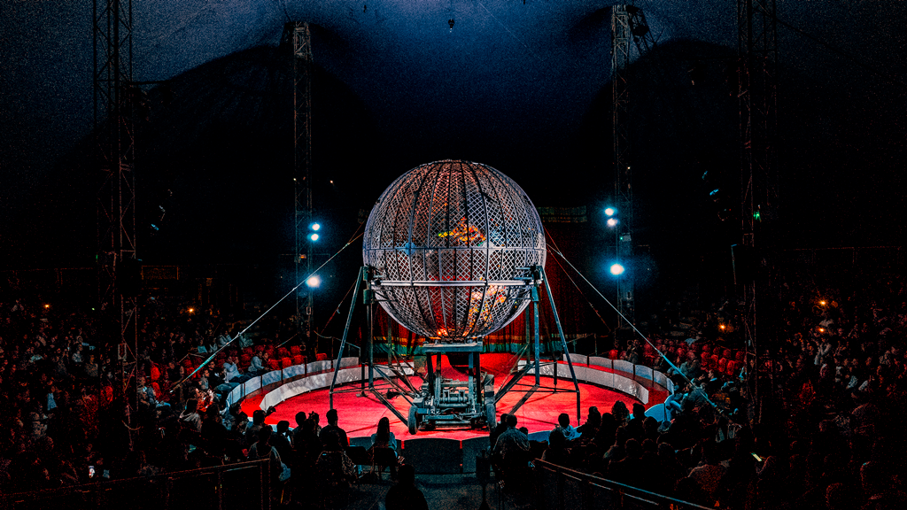 “Circo dos Sonhos” entra em sua última semana na Capital Divulgação