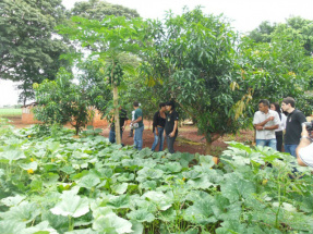 Local onde corpo de adolescente foi enterrado - Foto: Osvaldo Duarte 