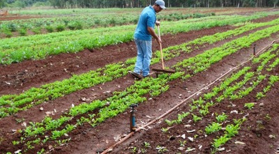 Fotos: Néia Maceno e Aline Lira

Em todo o Brasil, estima-se que 12 mil contratos estejam em situação de inadimplência.

