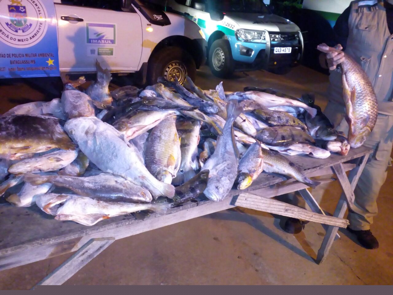 Operação 'Pesca Legal' apreende 1 tonelada de pescado e 303 quilos de maconha PMA/Divulgação