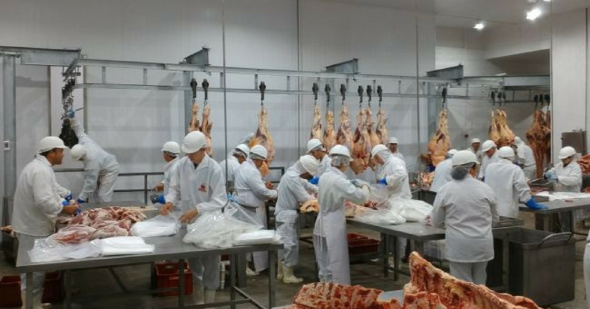 Novo Horizonte do Sul quer equipar frigorífico para movimentar economia Divulgação